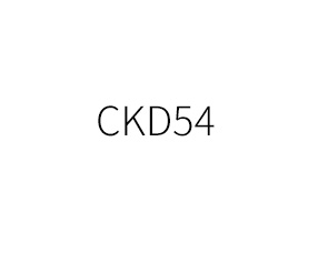 CKD54