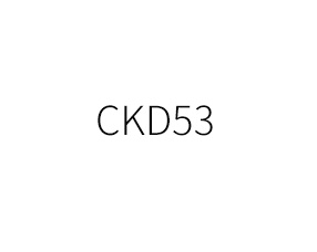 CKD53