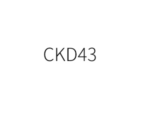 CKD43